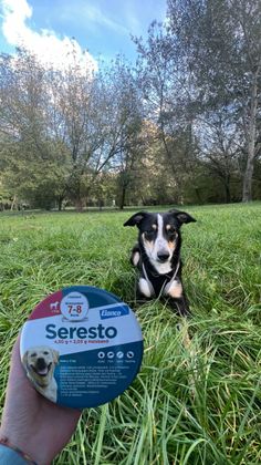 Fotos mit Elanco Seresto Floh- und Zeckenhalsband - Elanco Seresto