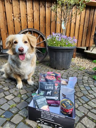 Dorina hat sich gefreut 