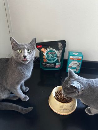 Lecker schmecki