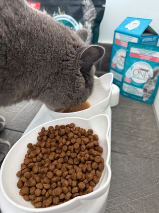Lecker 