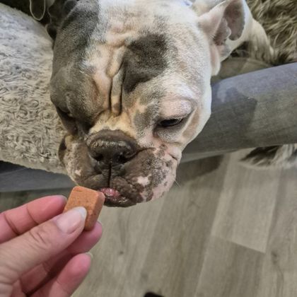 Scheint zu schmecken 
