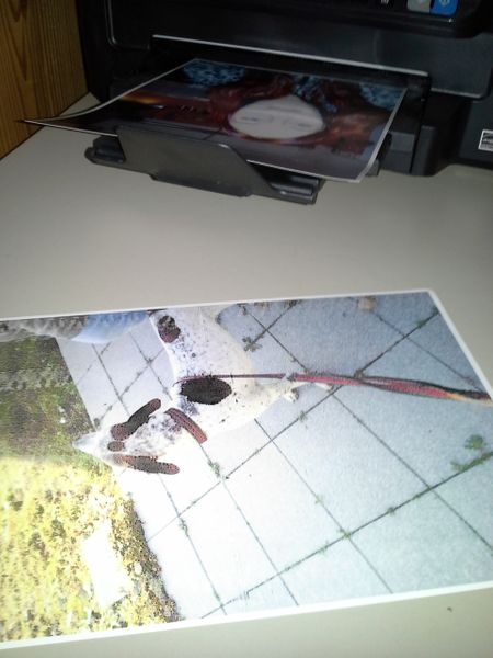 Fotogalerie Zum Trnd Projekt Mit Epson Ecotank Epson Ecotank