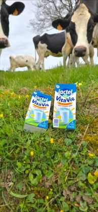 Screenshot_20260405_173936_Gallery