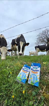 Screenshot_20260405_173942_Gallery