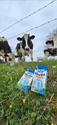 Screenshot_20260405_173953_Gallery