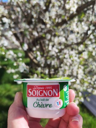 Fromage blanc Soignon 
