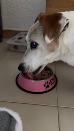 Elle ne mange pas, elle dévore!! 