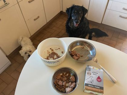 Préparation du repas. Ruby est notre invitée ce WE et elle adore elle aussi....