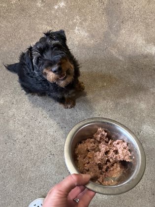 Prête à tout pour avoir son assiette 