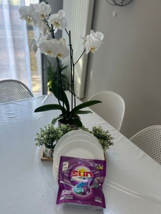 La propreté des assiettes 